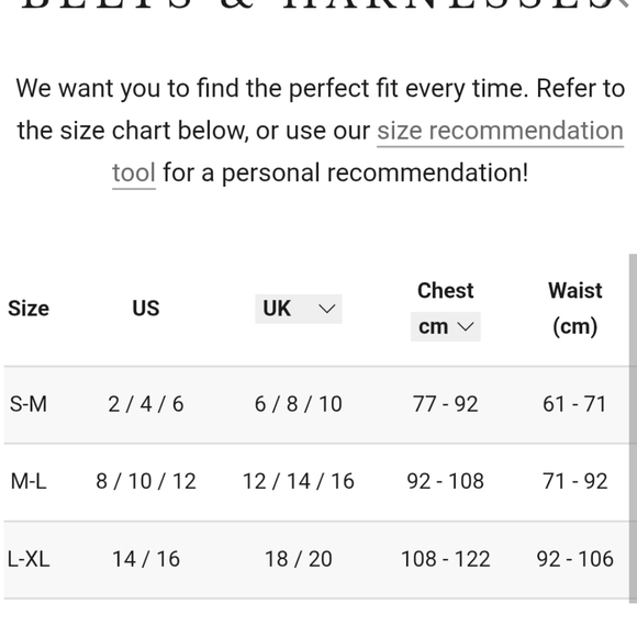 Disturbia Burgundy Women's Belt Harness With Ribbon-L/XL - Picture 6 of 6